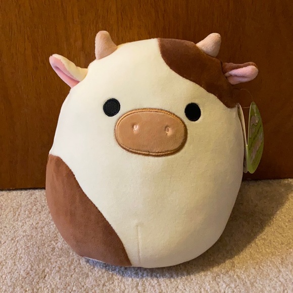 ronnie squishmallow 16